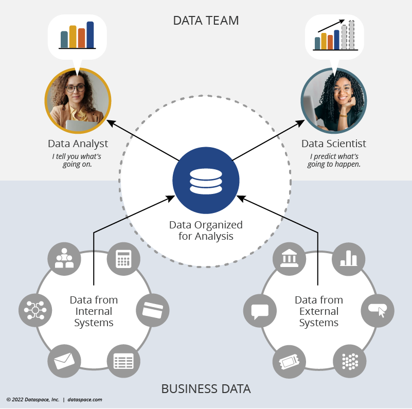 Data Team Roles: how a data scientist works with business data.
